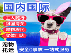 海口美兰航空物流国际宠物托运 【国
